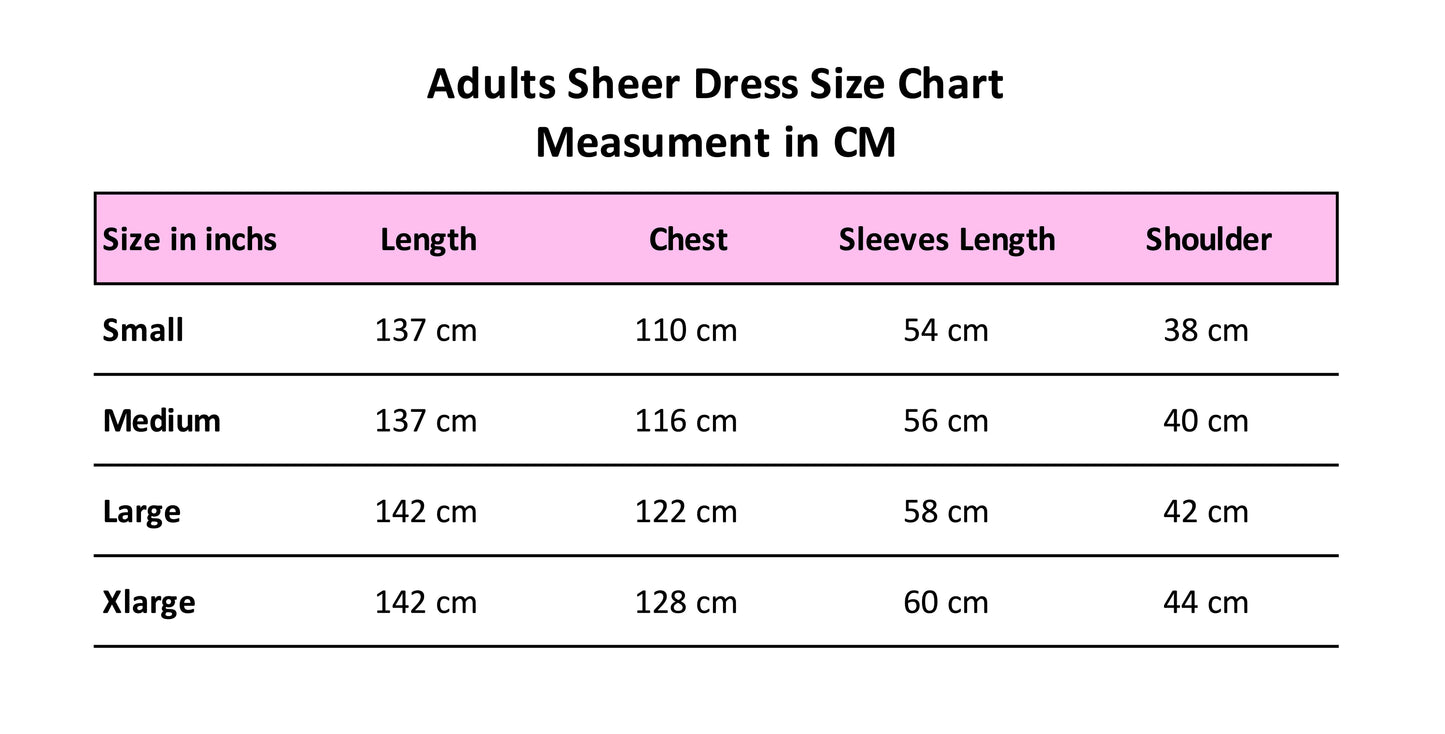 Ladies Blue Sheer Dress