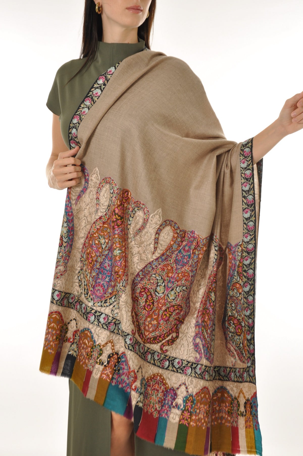 Kalamkari Pashmina - Vibrant Boarder