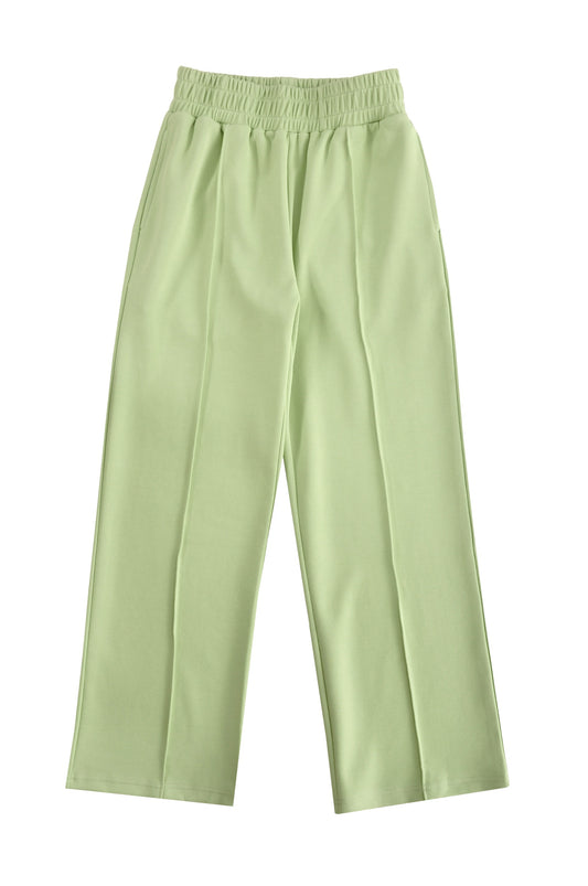 Pistachio Green Pants Regular Fit